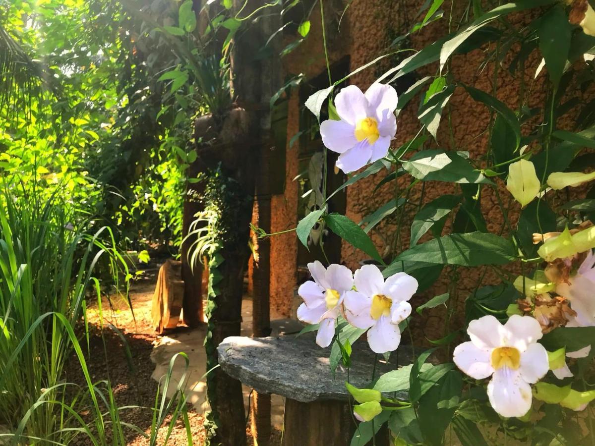 Earth House Sri Lanka Neboda Exterior foto