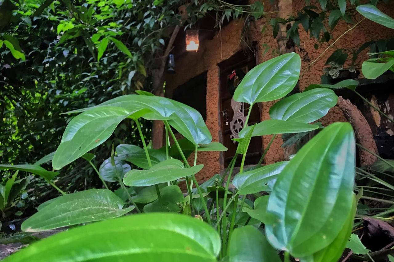 Earth House Sri Lanka Neboda Exterior foto