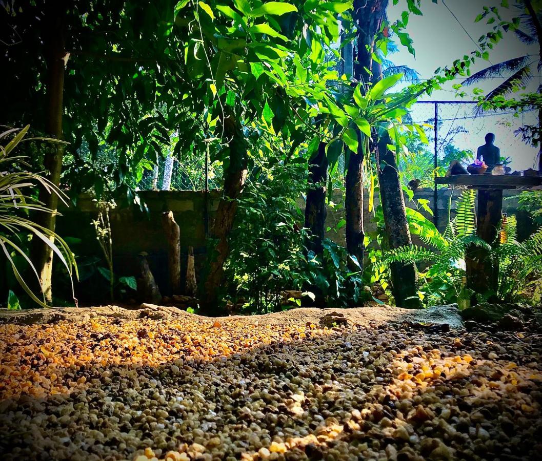 Earth House Sri Lanka Neboda Exterior foto