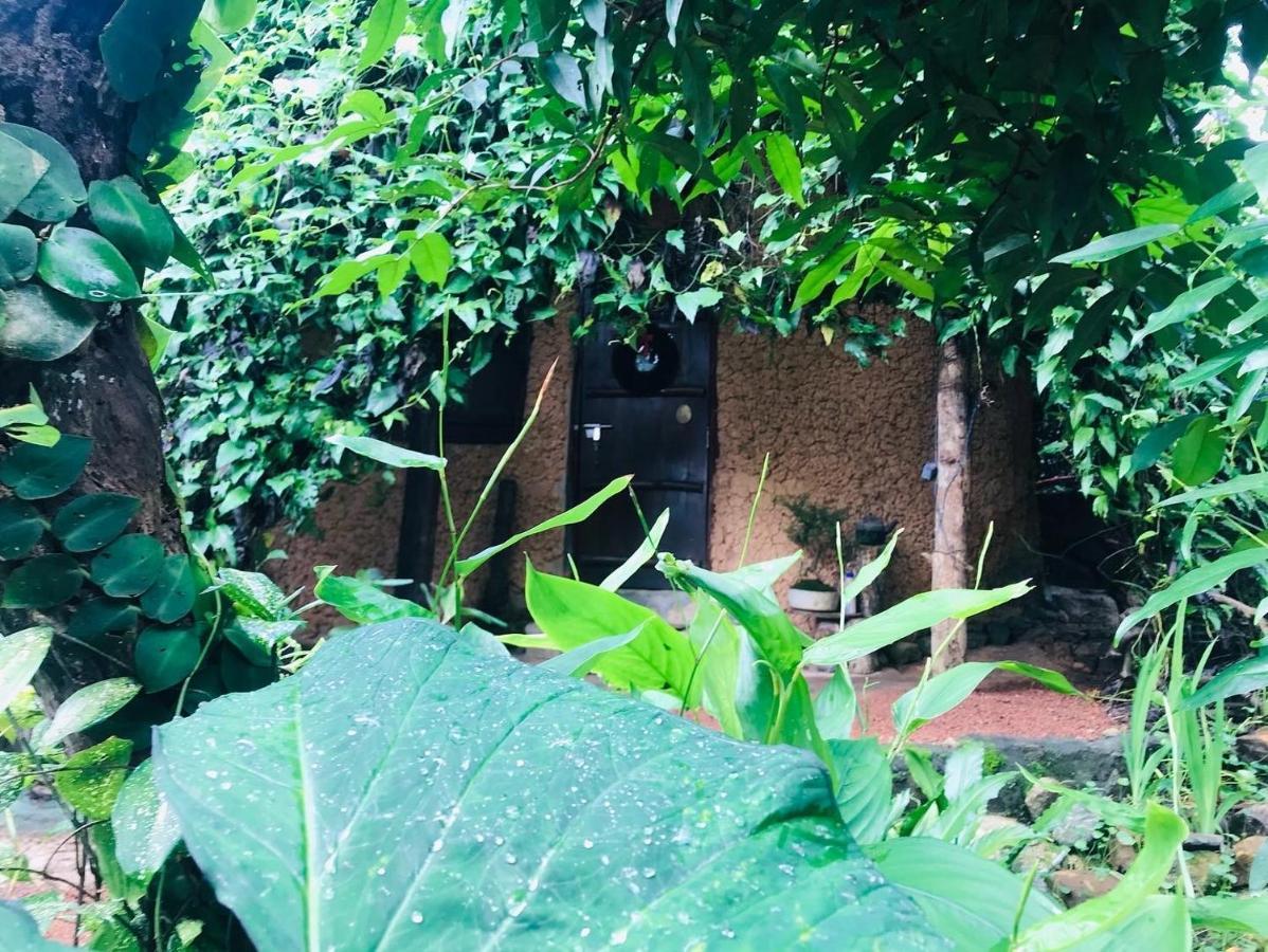 Earth House Sri Lanka Neboda Exterior foto