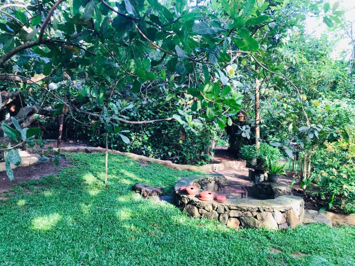 Earth House Sri Lanka Neboda Exterior foto