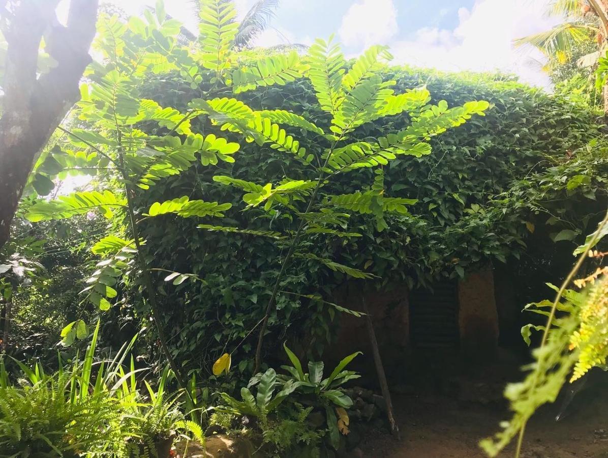 Earth House Sri Lanka Neboda Exterior foto