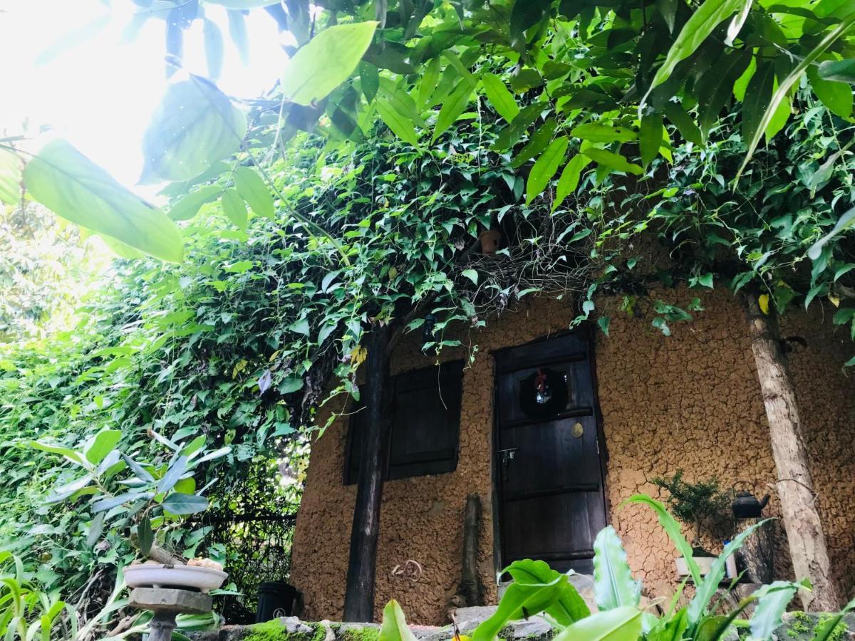 Earth House Sri Lanka Neboda Exterior foto